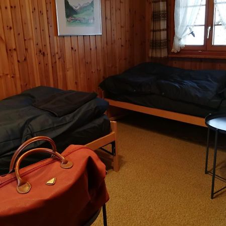 Casa Steilalva - Grosszuegiges Chalet Fuer Erholsamen Familienurlaub Surrein 외부 사진