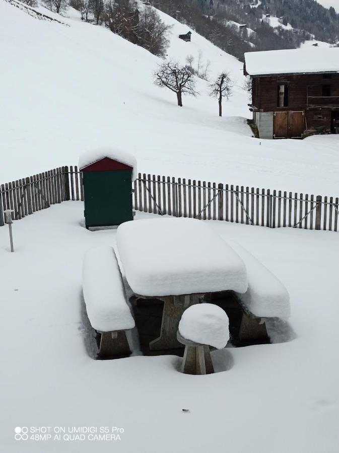 Casa Steilalva - Grosszuegiges Chalet Fuer Erholsamen Familienurlaub Surrein 외부 사진
