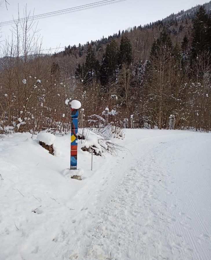 Casa Steilalva - Grosszuegiges Chalet Fuer Erholsamen Familienurlaub Surrein 외부 사진