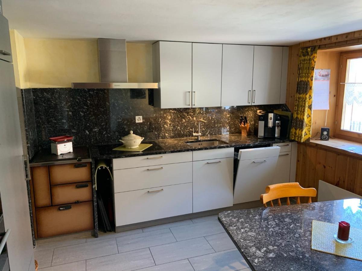 Casa Steilalva - Grosszuegiges Chalet Fuer Erholsamen Familienurlaub Surrein 외부 사진