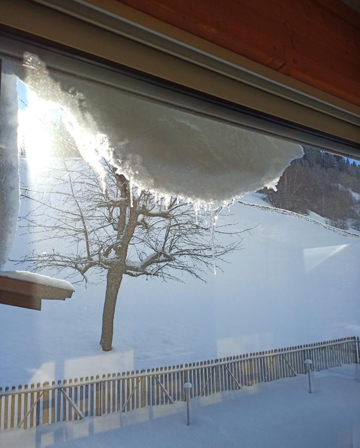 Casa Steilalva - Grosszuegiges Chalet Fuer Erholsamen Familienurlaub Surrein 외부 사진