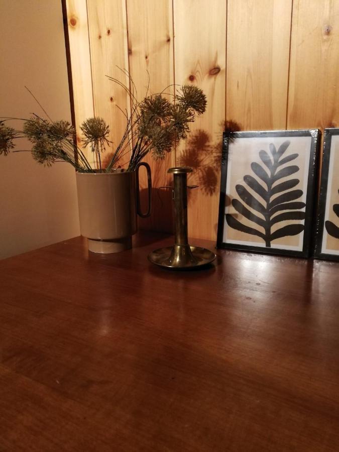 Casa Steilalva - Grosszuegiges Chalet Fuer Erholsamen Familienurlaub Surrein 외부 사진